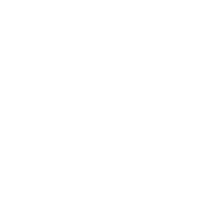 Devlix logo
